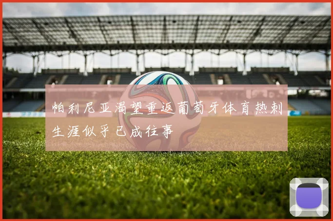 帕利尼亚渴望重返葡萄牙体育热刺生涯似乎已成往事